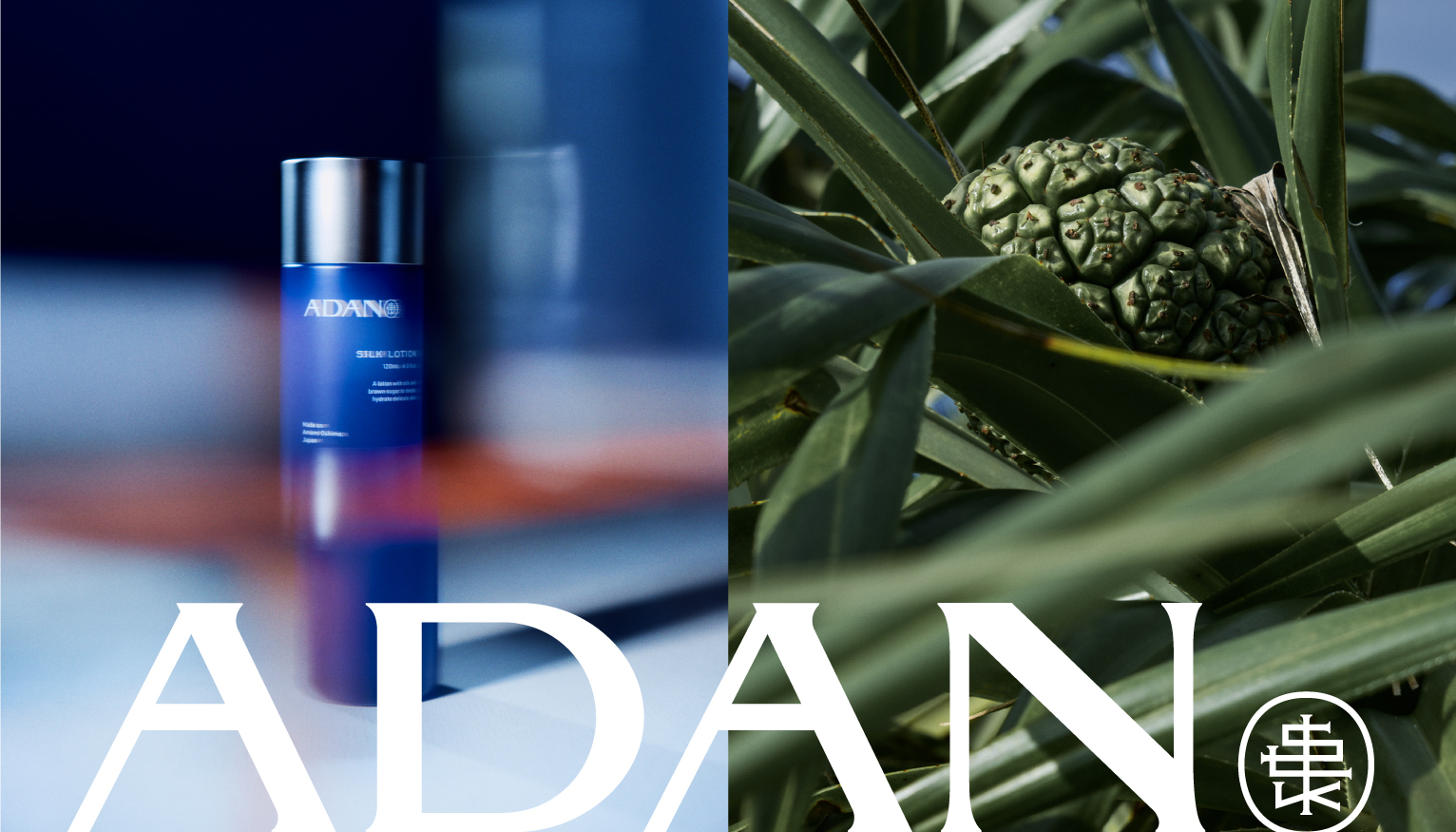 ADANメインイメージ
