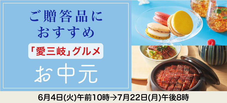 高島屋のお中元2024「愛三岐グルメ」