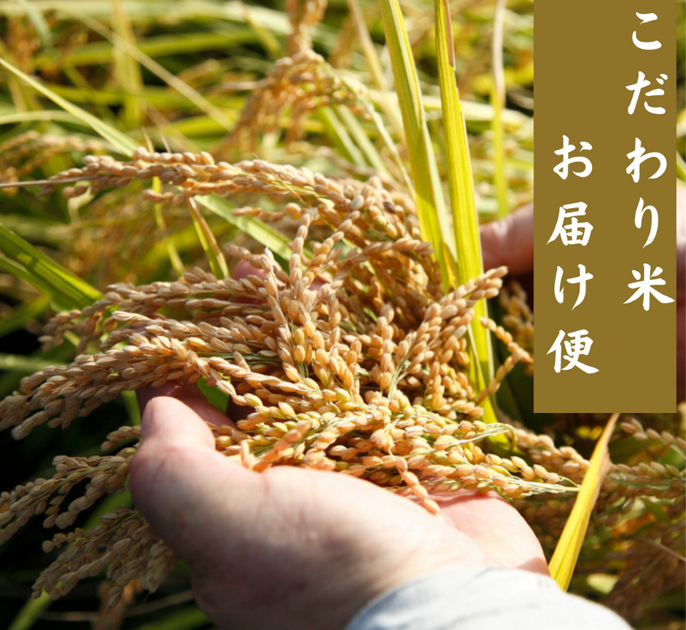 こだわり米　お届け便