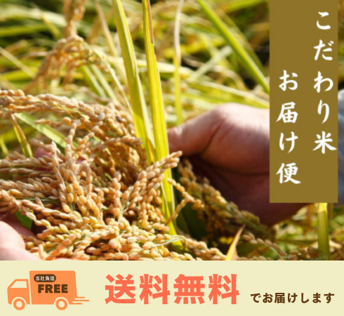 こだわり米　お届け便
