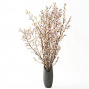 山形県産 啓翁桜(80cm)