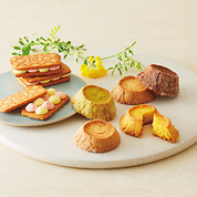 バターステイツコレクション(36袋入)