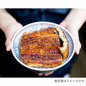 炭焼 うな富士 上うなぎ丼