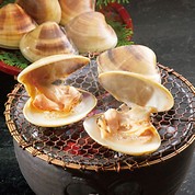 愛知三河湾産「天然はまぐり」(10個)