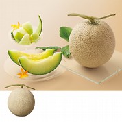 メロン工房「マスクメロン」