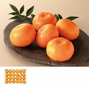 箱入娘プレミアムみかん