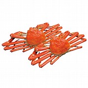 自宅用ずわいがに2尾セット