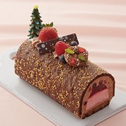 ビュッシュ・フリュイ・ルージュ