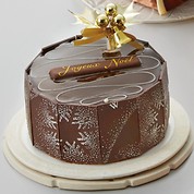 ショコラ サンバ　(10.5cm)