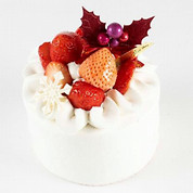 クリスマス シュプレム 4号