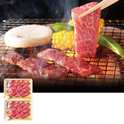 「飛騨牛」焼肉用小分けセット
