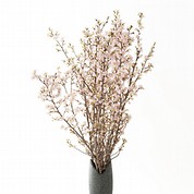 山形県産 啓翁桜(120cm)