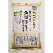 【12月配送分】特別栽培米 魚沼コシヒカリ 5kg
