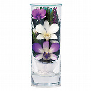 プリエール ドライフラワー(蘭) 一対入