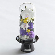 プリザーブドフラワー 天目(パープル)